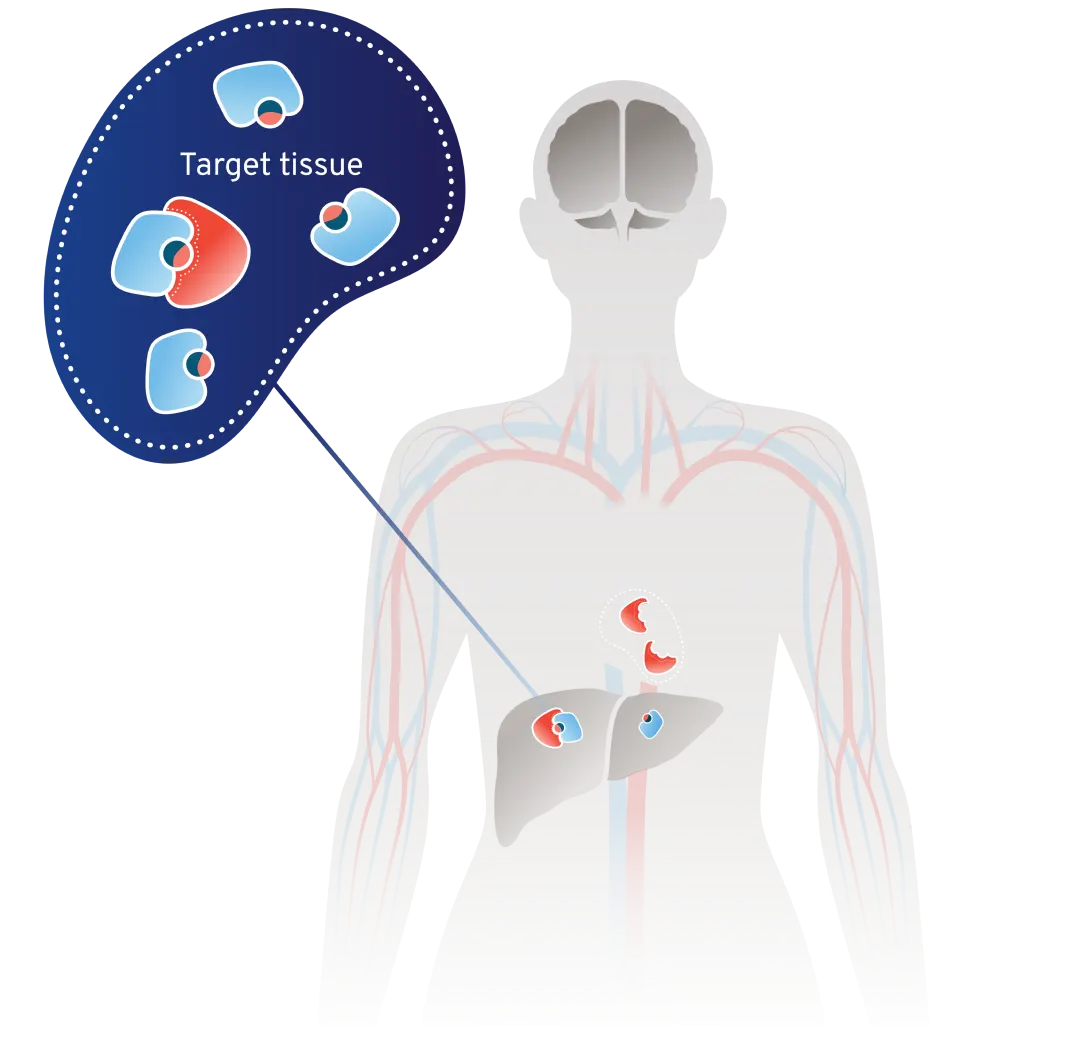 Scientific illustration depicting how TrueGlues enable tissue-specific target inhibition to minimize toxicity.