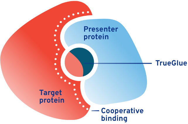 Abstract representation of a TrueGlue molecule facilitating binding of a target protein with a presenter protein.